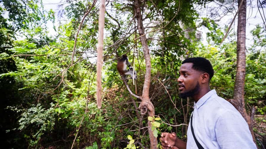 Zanzibar : Secret Beach, Kuza Cave and Jozani with transfer - A 6-hour mix of sand, sinkholes, and Zanzibar forest
