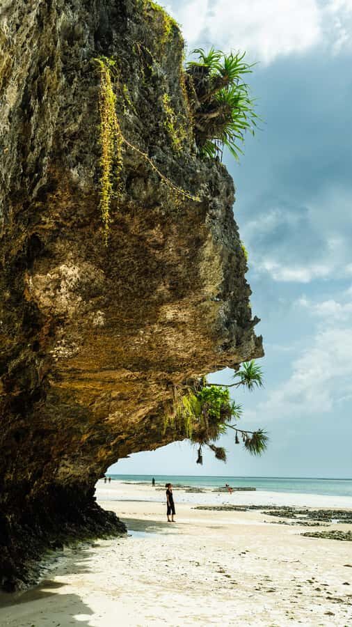 Zanzibar : Secret Beach, Kuza Cave and Jozani with transfer - Jozani Forest National Park: mangroves, boardwalk walking, and red colobus