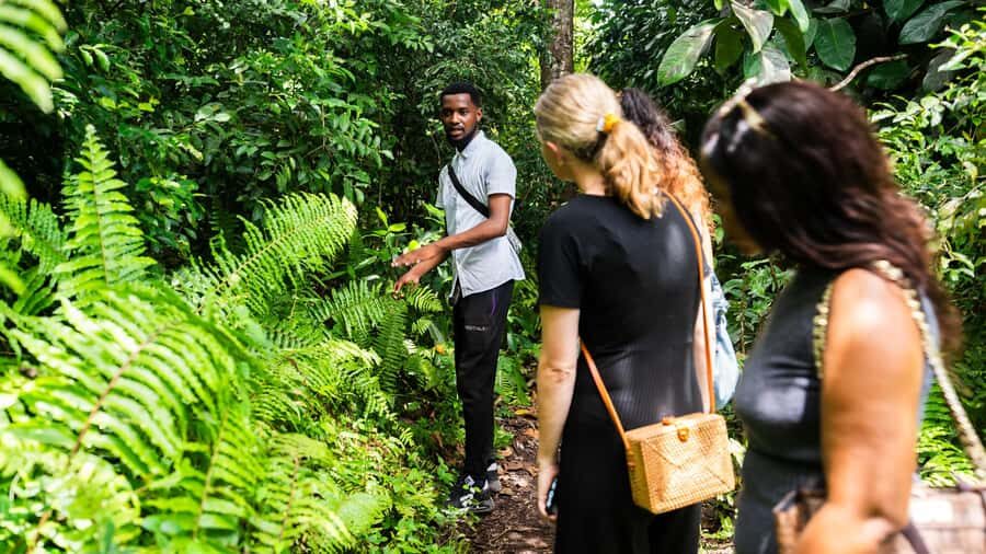 Zanzibar : Secret Beach, Kuza Cave and Jozani with transfer - Guides: how much they change the experience
