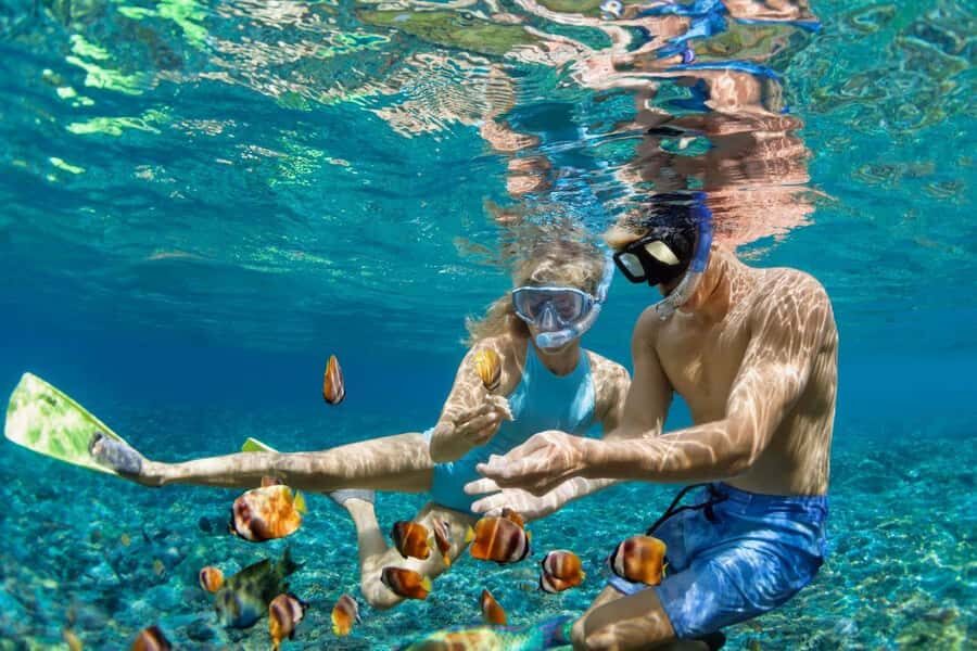 Zanzibar: Snorkeling at blue lagoon & Star fish tour - Key things to know before you go