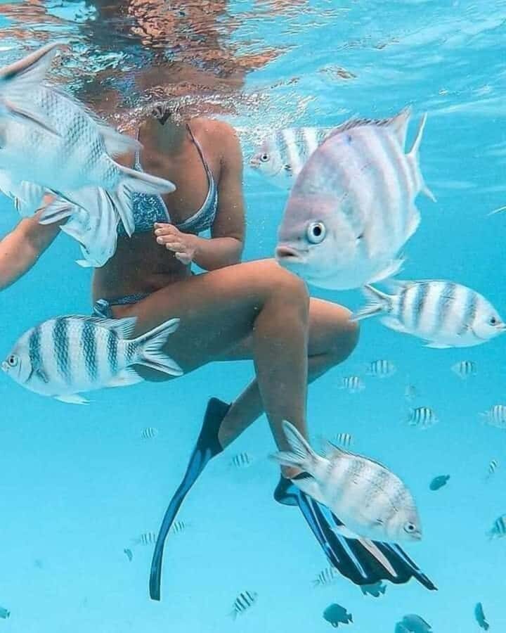 Zanzibar: Snorkeling at blue lagoon & Star fish tour - The “included” package is solid for $85