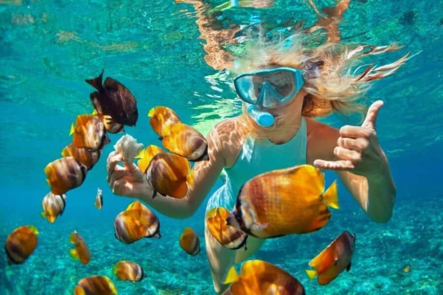 Zanzibar: Snorkeling at blue lagoon & Star fish tour - Blue Lagoon snorkeling: clear water and coral watching