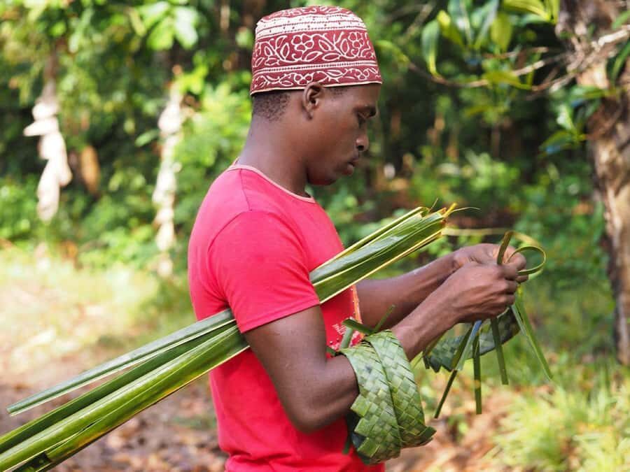 Zanzibar: Spice Farm, Stone Town & Prison Island with Lunch - Should You Book This Zanzibar Day Tour?