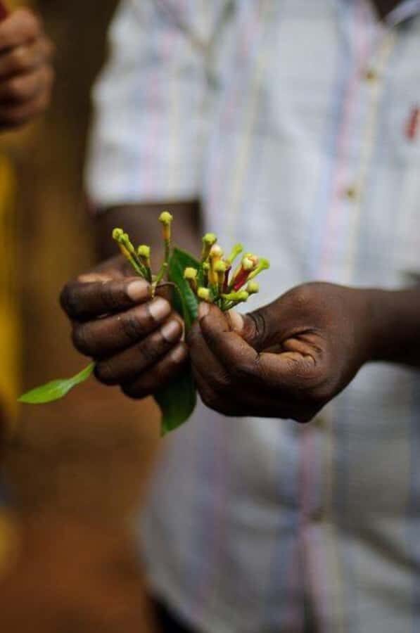 Zanzibar: Spice Farm Tour & Stone Town Adventure - Price, Time, and What You Get for $95