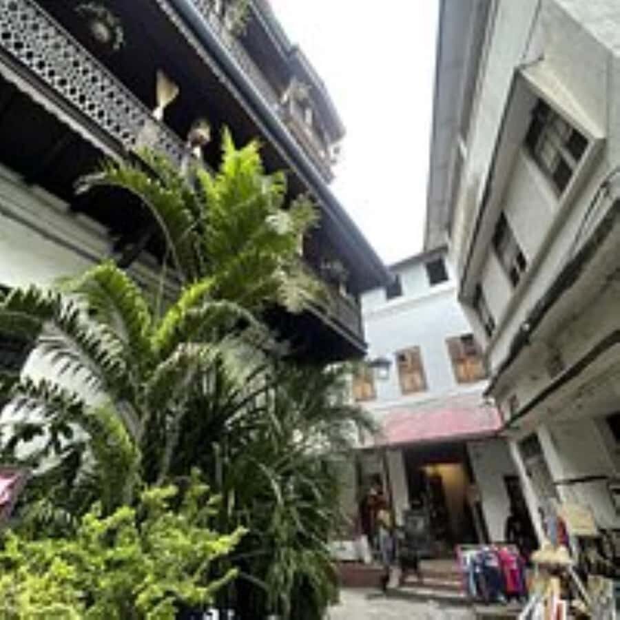 Zanzibar: Spice Tour & Stone Town Walking Tour - Don’t Underestimate Darajani Fish Market