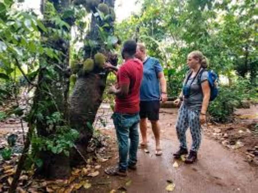 Zanzibar: Spice Tour & Stone Town Walking Tour - Guides Matter: Friendly, Personal, and Sometimes Funny