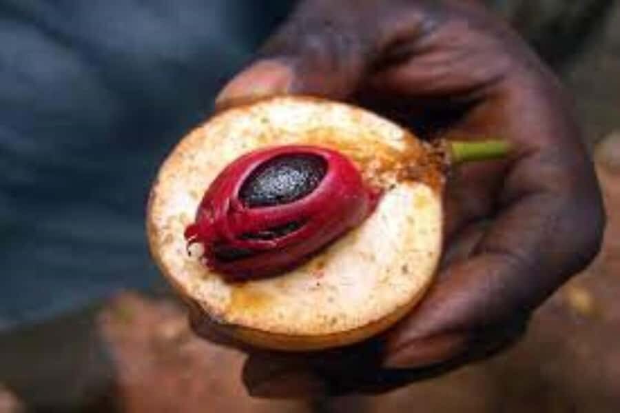 Zanzibar: Spice Tour & Stone Town Walking Tour - What the 5-Hour Format Means for Your Day