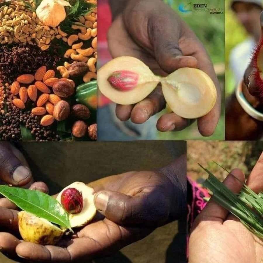 Zanzibar: Spice tour + Stone Town Walking tour - Spice plantation walking tour: smell, test, and learn the spice garden logic