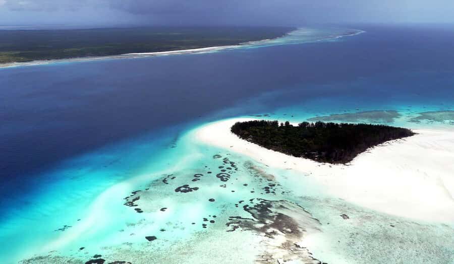Zanzibar : Swim with dolphin + Snorkel mnemba coral Reef - The half-day flow: how the timing actually works