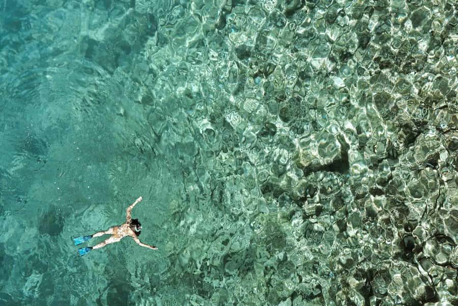 Zanzibar : Swim with dolphin + Snorkel mnemba coral Reef - Gear and guide support: small details that change your comfort