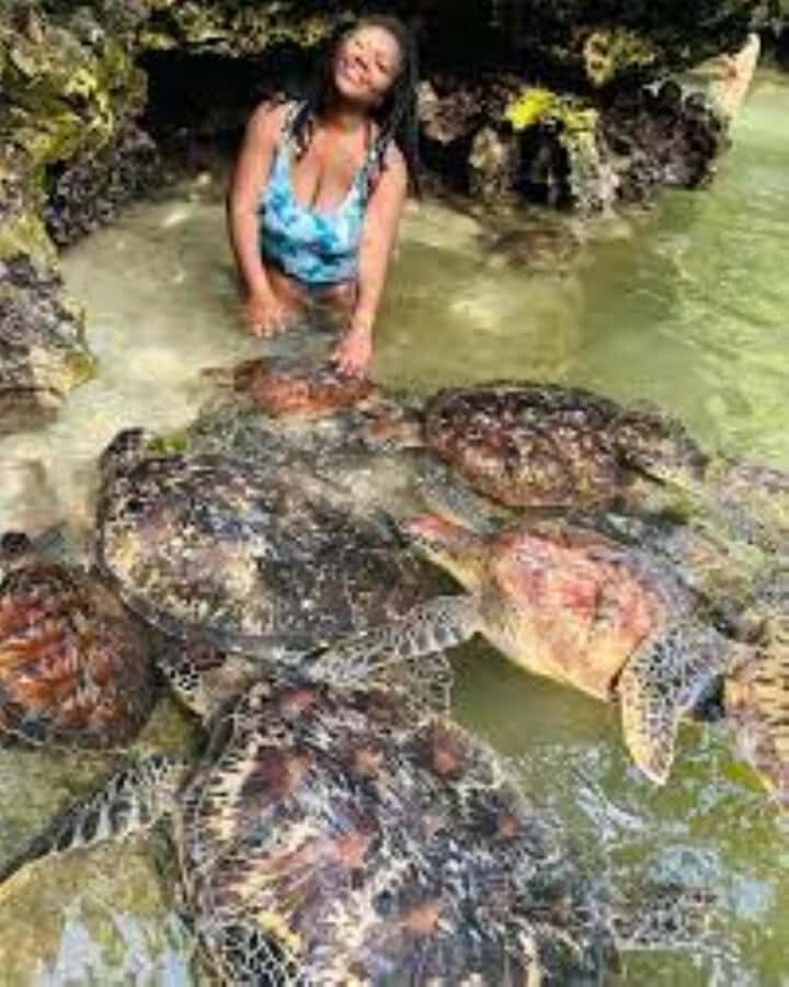Zanzibar: Swim with Sea Turtles at Baraka or Salaam Aquarium - Price and value: is $80 per person worth it?