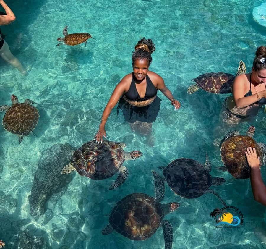 Zanzibar: Swimming with Turtles at Salaam Cave Aquarium - Key Highlights You’ll Care About