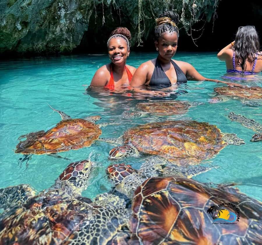 Zanzibar: Swimming with Turtles at Salaam Cave Aquarium - Salaam Cave Aquarium: Where the Turtle Time Happens