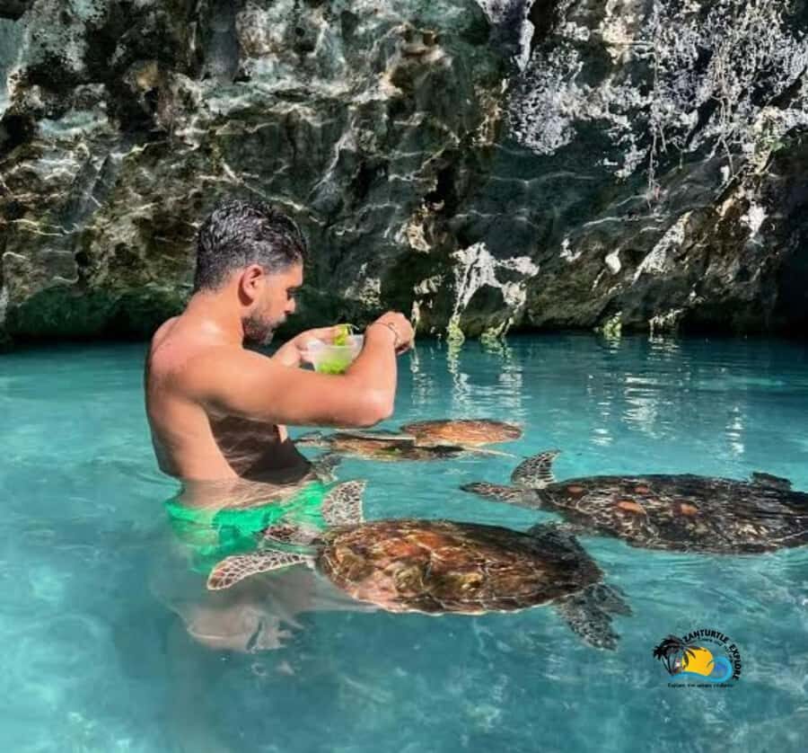 Zanzibar: Swimming with Turtles at Salaam Cave Aquarium - The Conservation Angle: Why This Tour Can Be More Than a Sighting