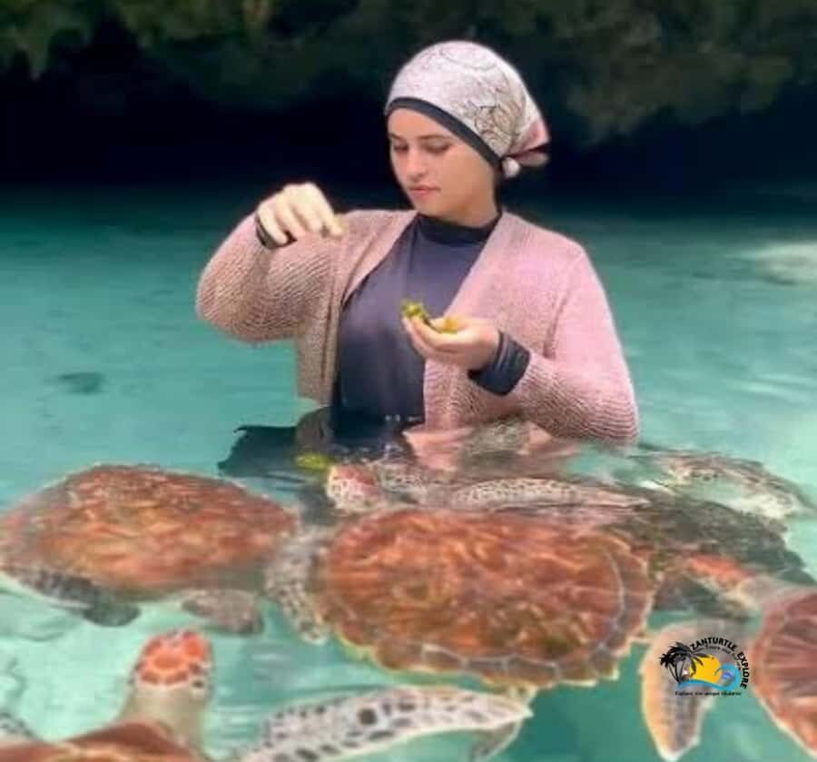 Zanzibar: Swimming with Turtles at Salaam Cave Aquarium - What’s Included in the $56 Price (And What You’ll Still Pay For)