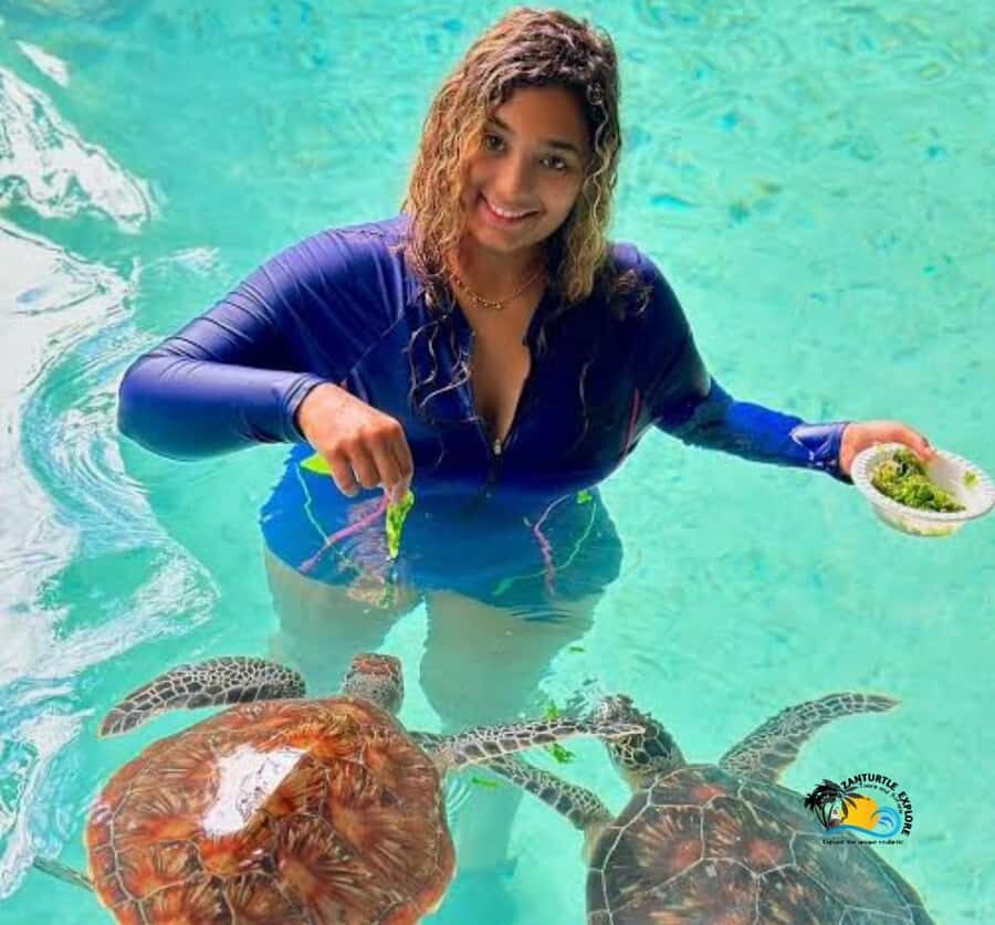 Zanzibar: Swimming with Turtles at Salaam Cave Aquarium - Languages and Guide Help: Communication You Can Trust