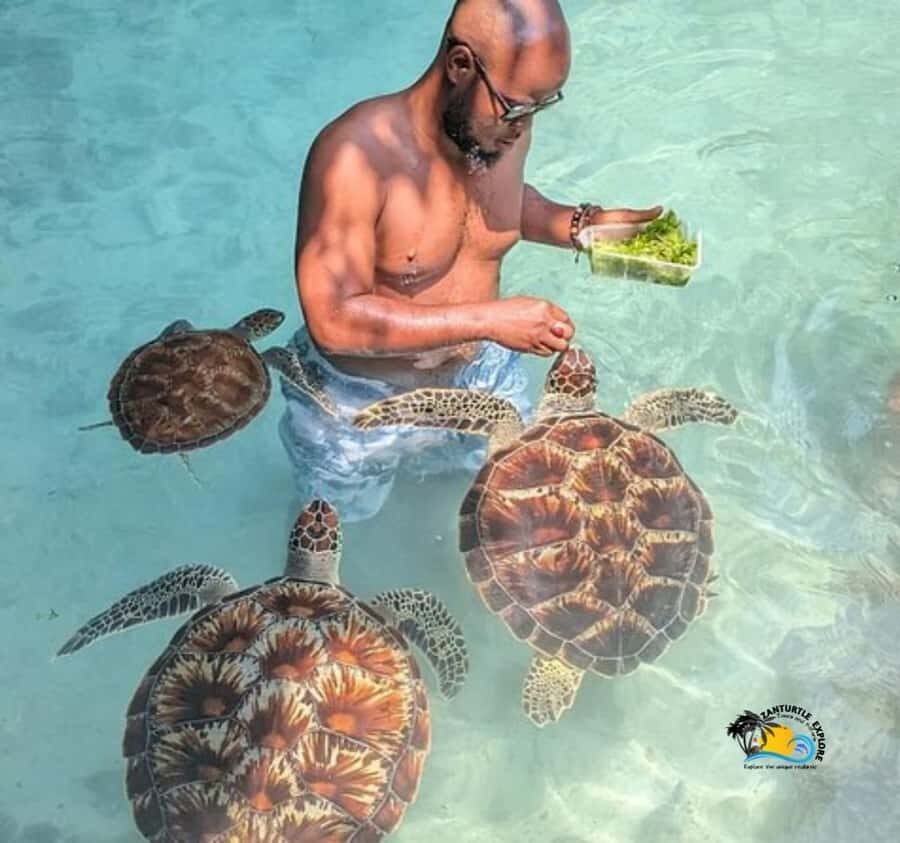 Zanzibar: Swimming with Turtles at Salaam Cave Aquarium - What to Bring (And What to Leave at Home)