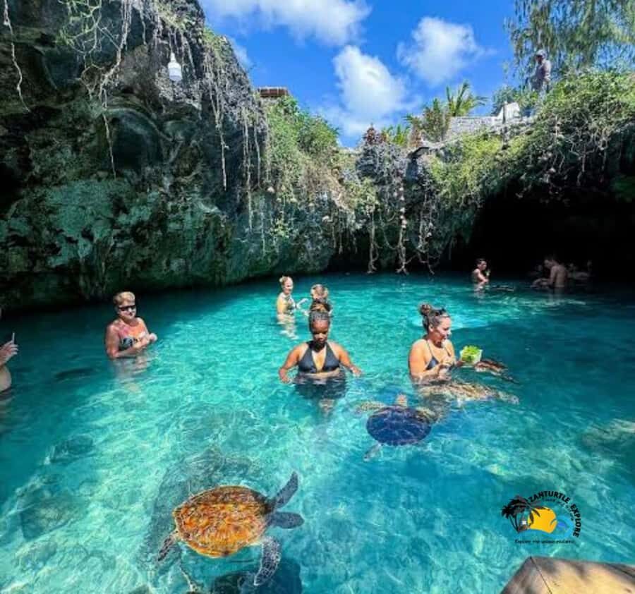 Zanzibar: Swimming with Turtles at Salaam Cave Aquarium - Who This Tour Suits Best