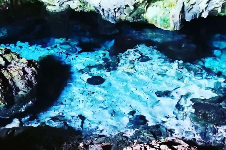 Zanzibar: The Rock, Paje Beach, Jozani Forest, Salaam Cave - Salaam Cave over Kizimkazi Beach: swimming with sea turtles