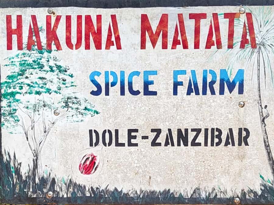 Zanzibar: The Swahili Spice Experience - Spice Tour + Culinary Journey - Guides and local characters you may meet