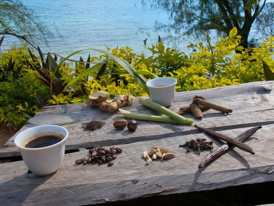 Zanzibar: The Swahili Spice Experience - Spice Tour + Culinary Journey - From Old Fort (Stone Town) to the spice farm: timing that helps you plan