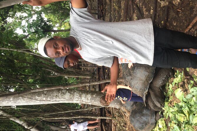 Zanzibar Tours & Taxi Services - The Ride Comfort: Air-Conditioned Vehicle and Bottled Water