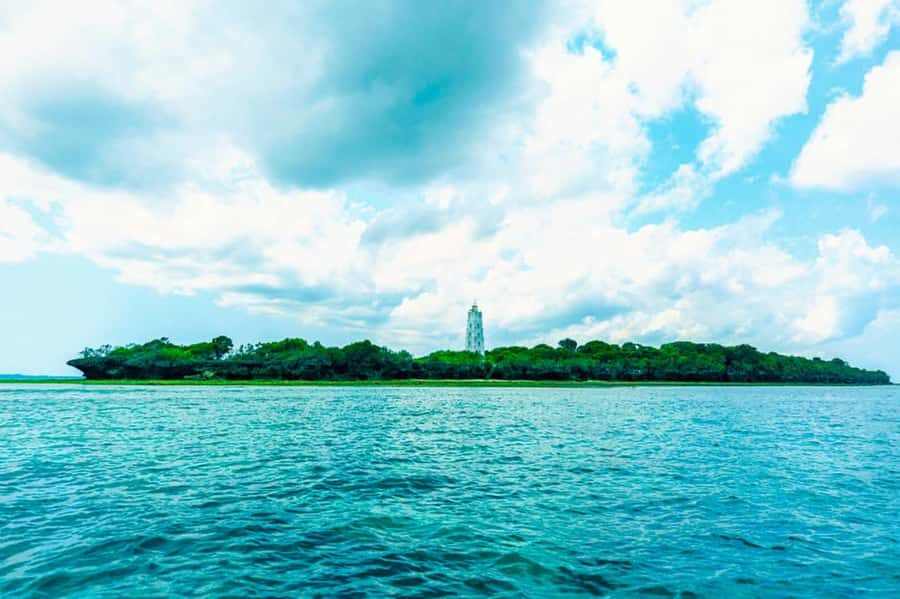 Zanzibar: Tumbatu Island Private Snorkeling Adventure Tour - Snorkeling at low tide: reefs, fish, and the turtle scan