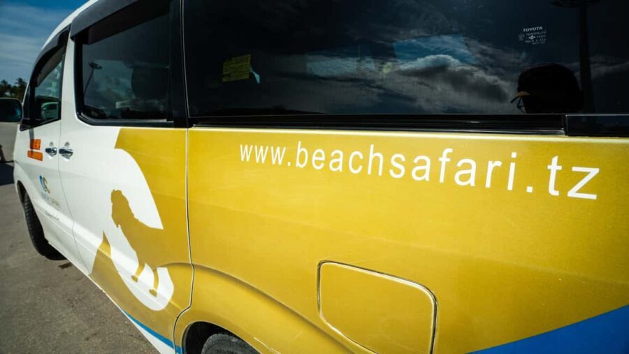 Zanzibar: Tumbatu Island Private Snorkeling Adventure Tour - Equipment and entry: life jackets, snorkel gear, and those ladders