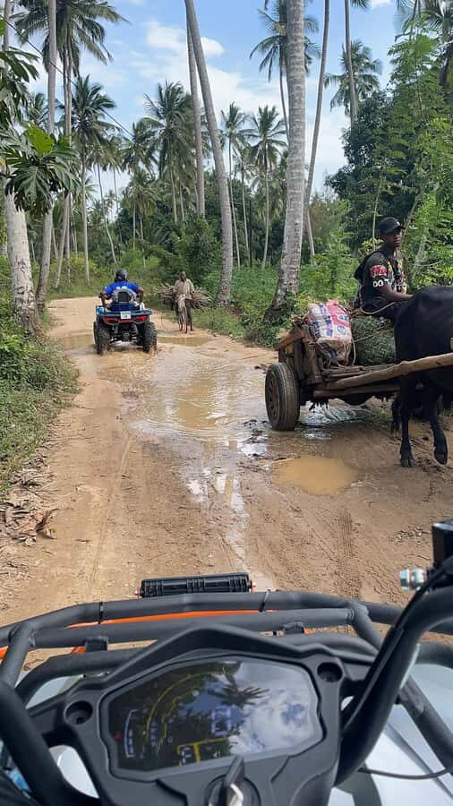 Zanzibar: Zenji ATV Tour - Who This ATV Tour Is Best For