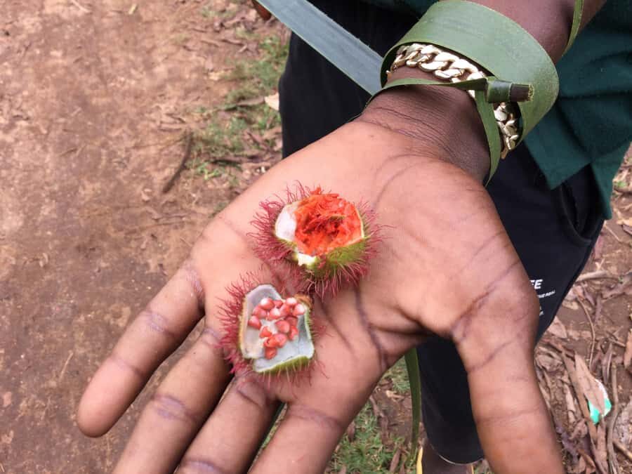 Zanzibar:Stone Town & Spice Farm Private Tour Lunch Included - Key highlights at a glance