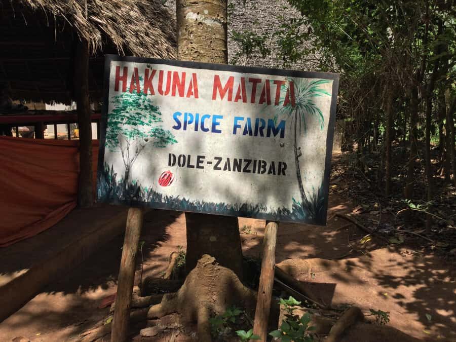 Zanzibar:Stone Town & Spice Farm Private Tour Lunch Included - Stone Town: the UNESCO streets you can walk without rushing