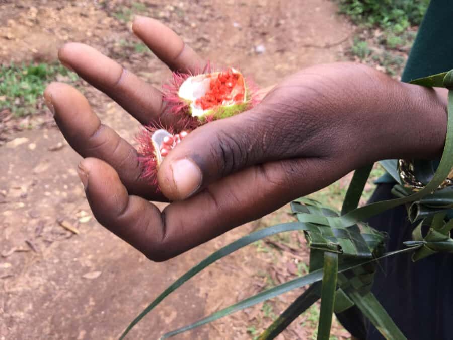 Zanzibar:Stone Town & Spice Farm Private Tour Lunch Included - City Market and the fish auction: daily life in one walk